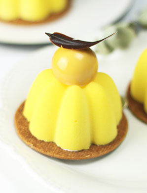 ����������ѵ