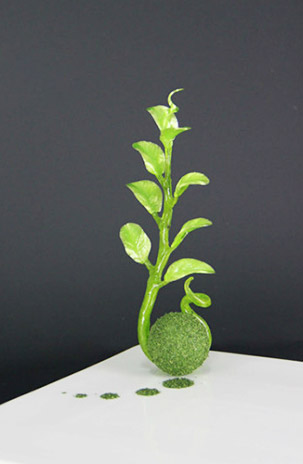 ����ѧ����Ʒ6